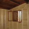 Faggio - immagine 3