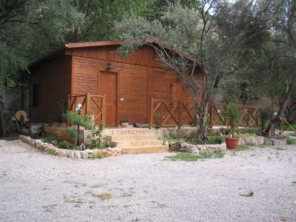 Quercia - immagine 2